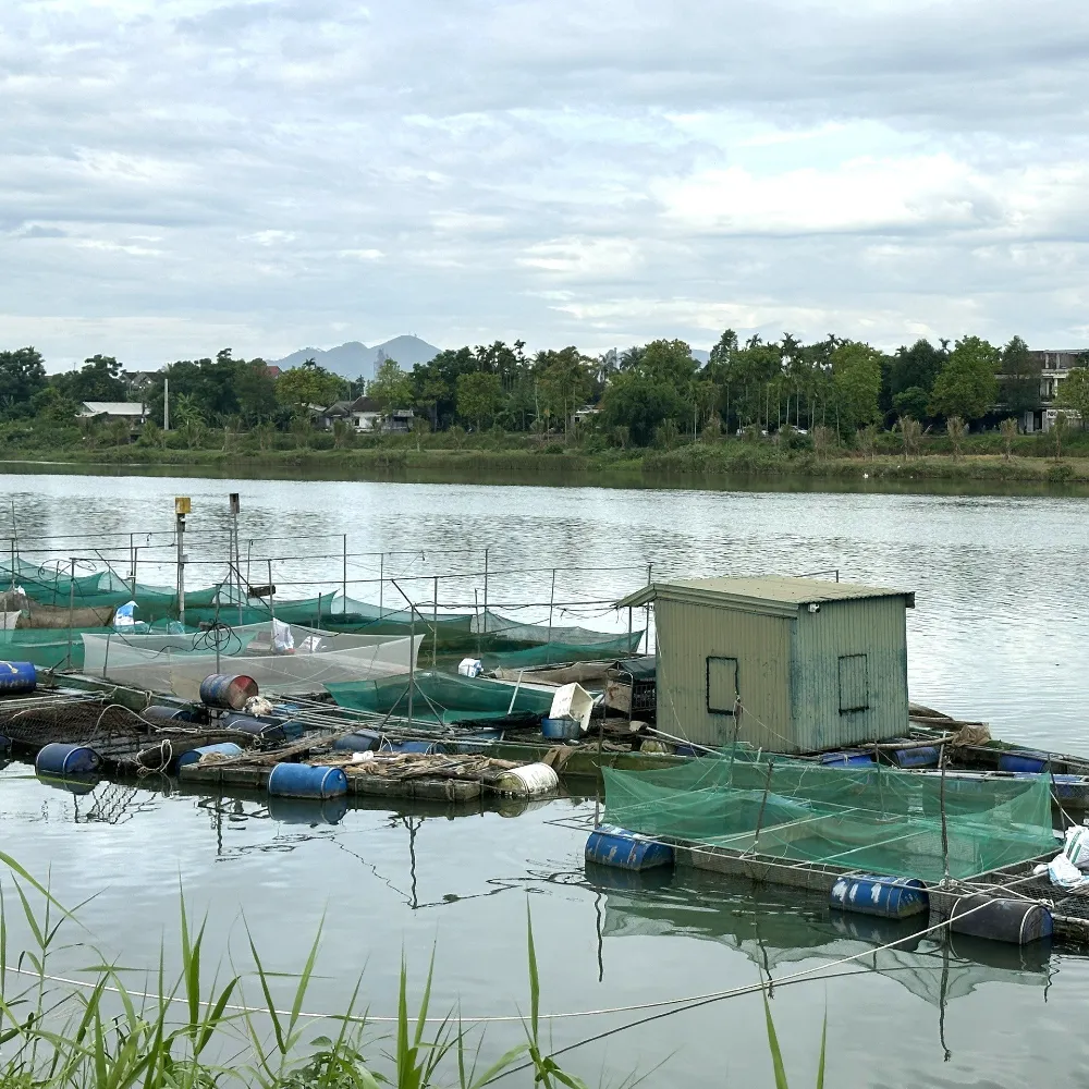Nehirlerde su seviyesi yükseliyor, sel riski var