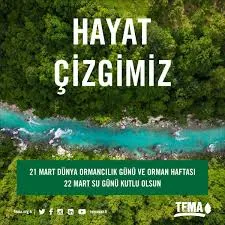 Hayat Maviyle Başlar Yeşille Devam Eder  Dünya Su Günü Ve Dünya Ormancılık Günü