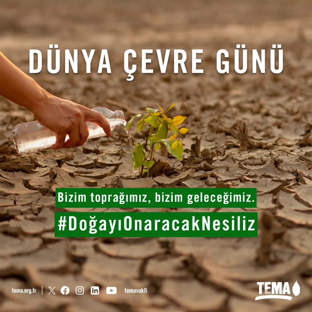 Doğayla Uyumlu Yaşamalıyız: Plastik Kirliliğine Son Ver, Yaşamı  Koru!
